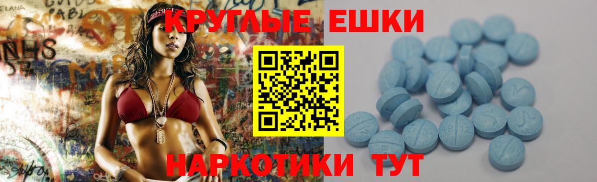 Ecstasy Philipp Plein  Вход с VPN  ЭКСТАЗИ  Экстази Cube  Брянск 
