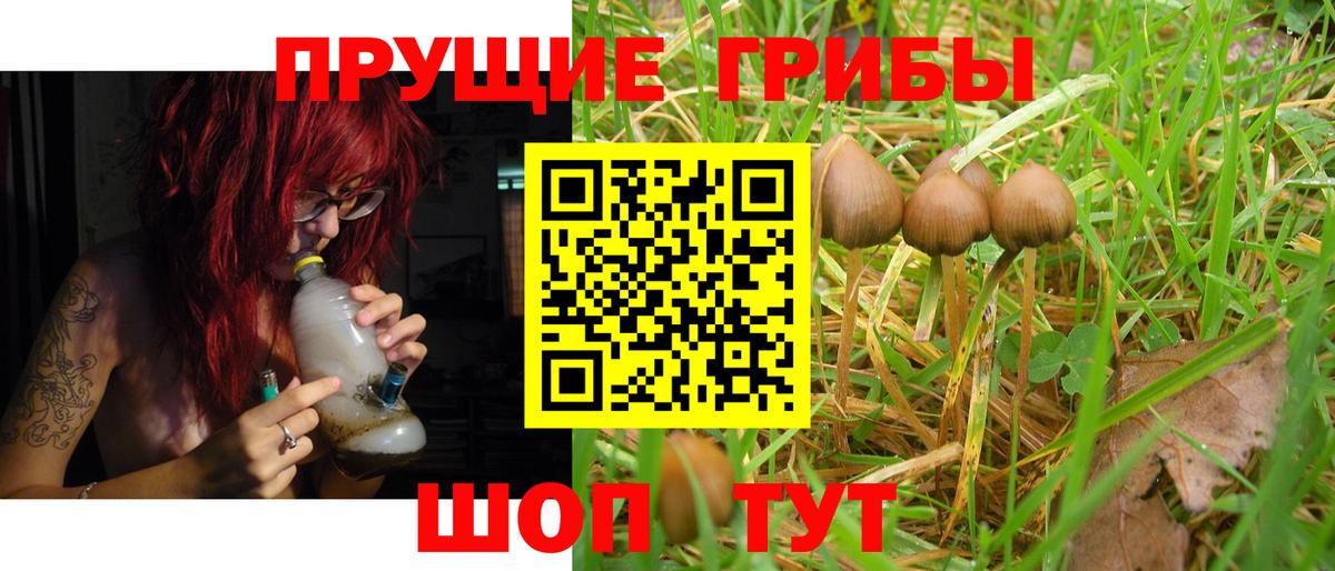 Псилоцибиновые грибы мухоморы Брянск