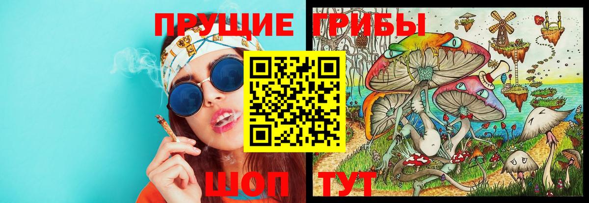 Брянск  Псилоцибиновые грибы Psilocybe  Вход с VPN 