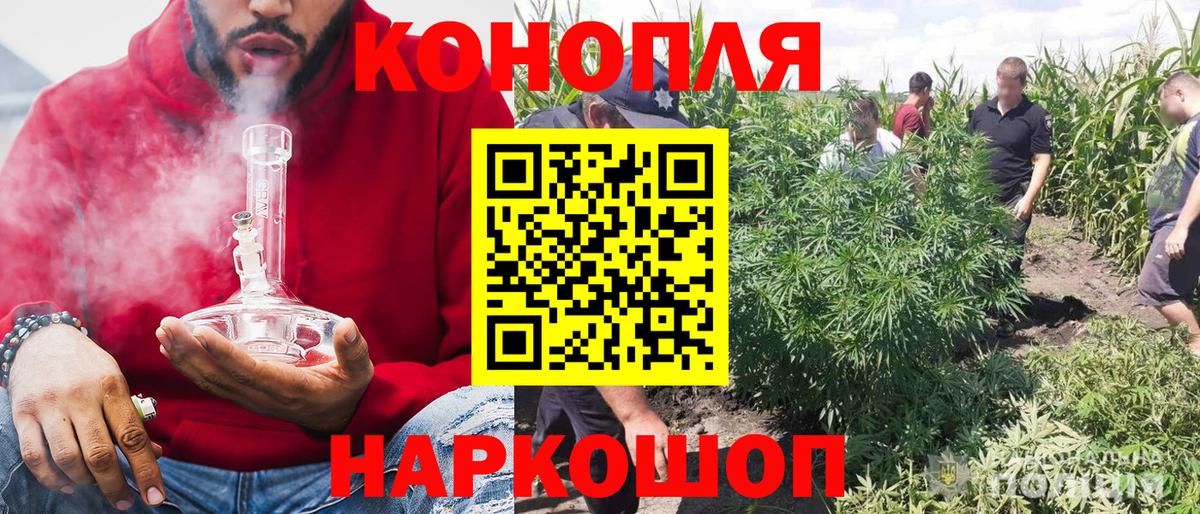 Шишки марихуана план Брянск